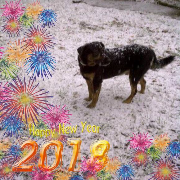 Meet your Posher, Nic - Picture 1 of 1